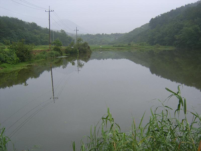 SA500937-25.JPG