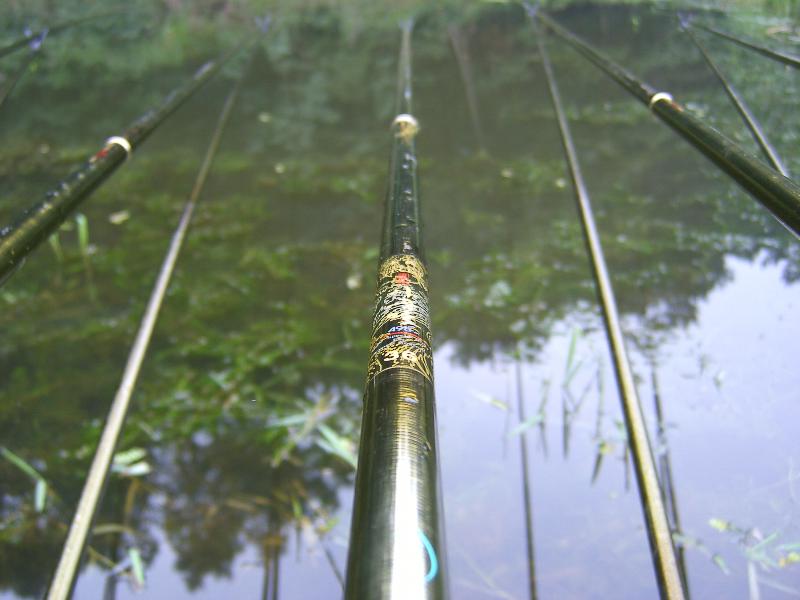 SA500999-25.JPG