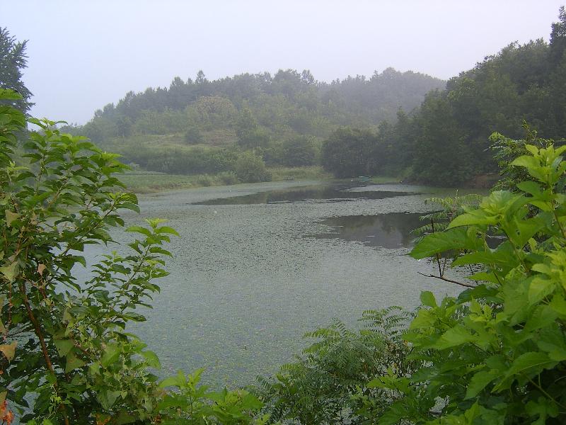 SA500991-26.JPG