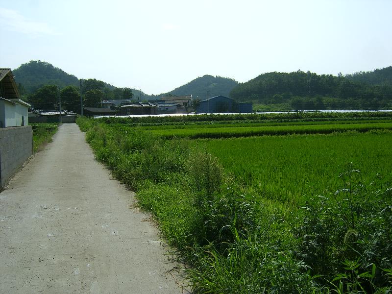 SA501095-27.JPG