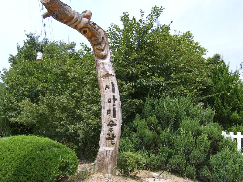 SA501165-27.JPG