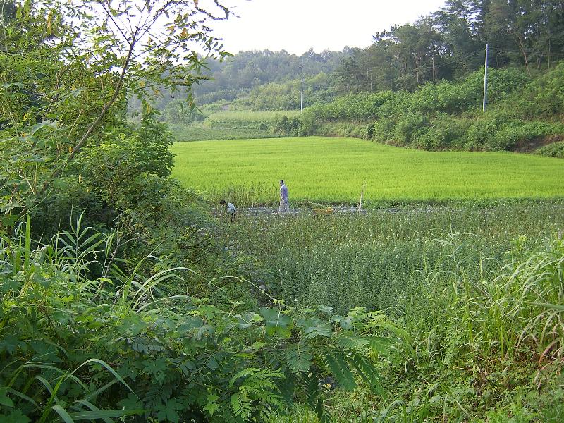 SA501196-28.JPG