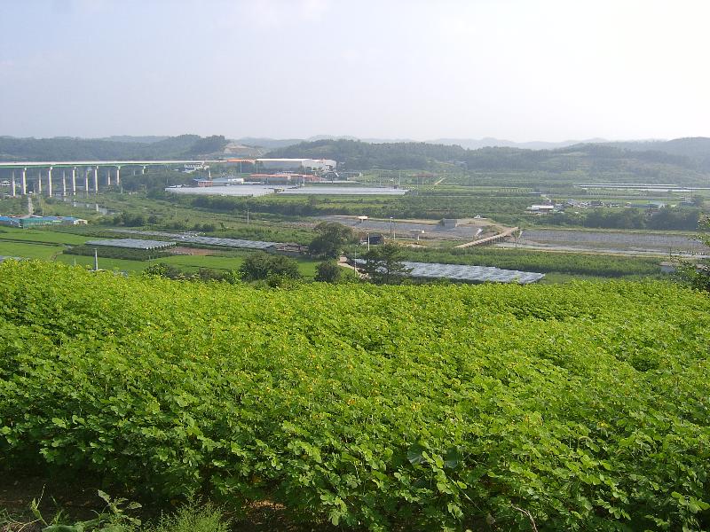 SA501221-28.JPG