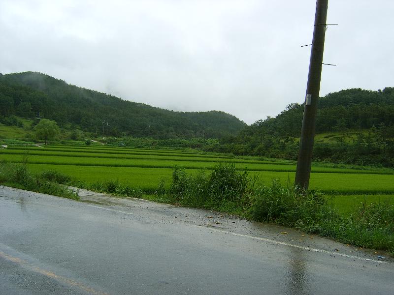 SA501275-29.JPG