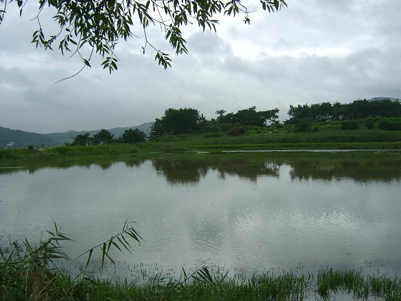 SA501281-29.JPG