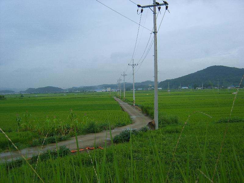 SA501284-29.JPG