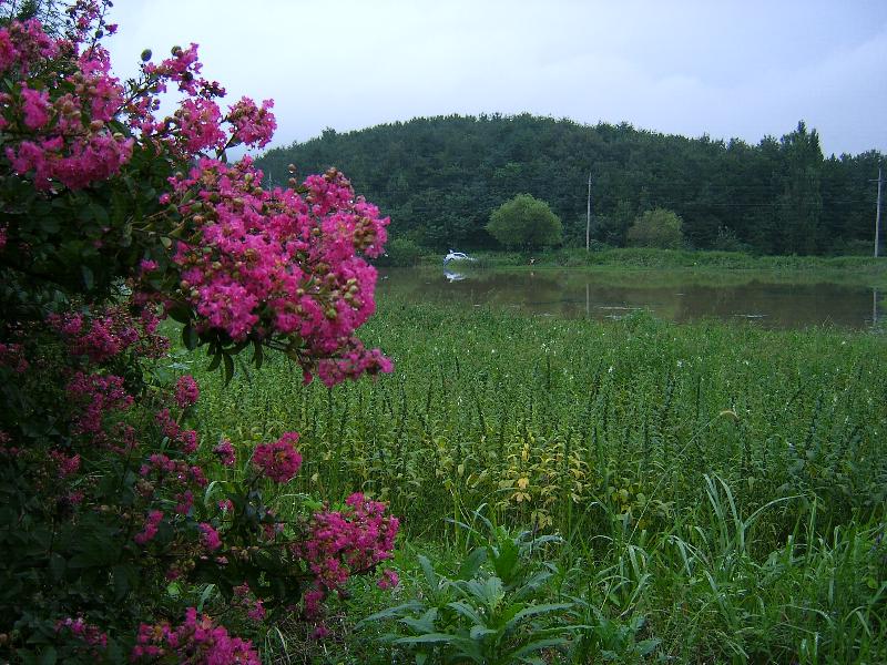 SA501293-29.JPG