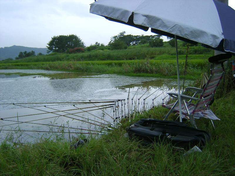 SA501302-29.JPG