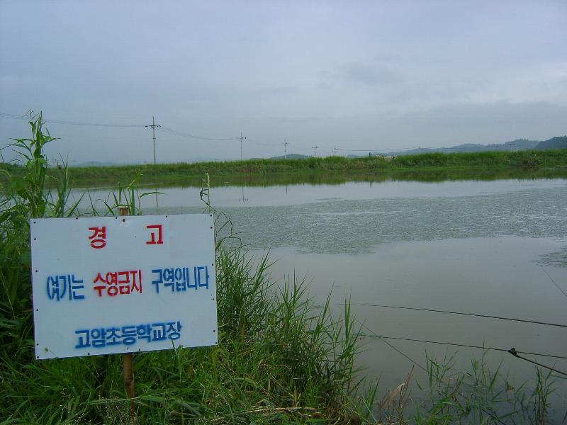 SA501303-29.JPG
