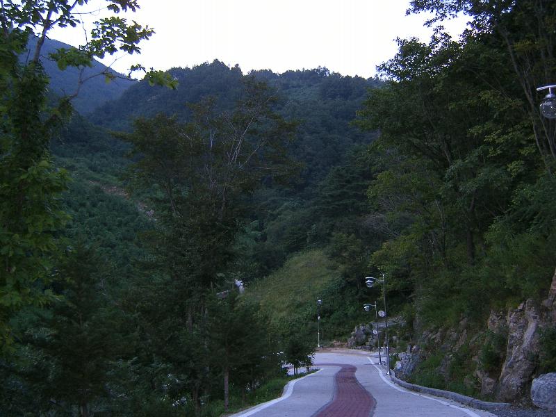 SA501354-30.JPG
