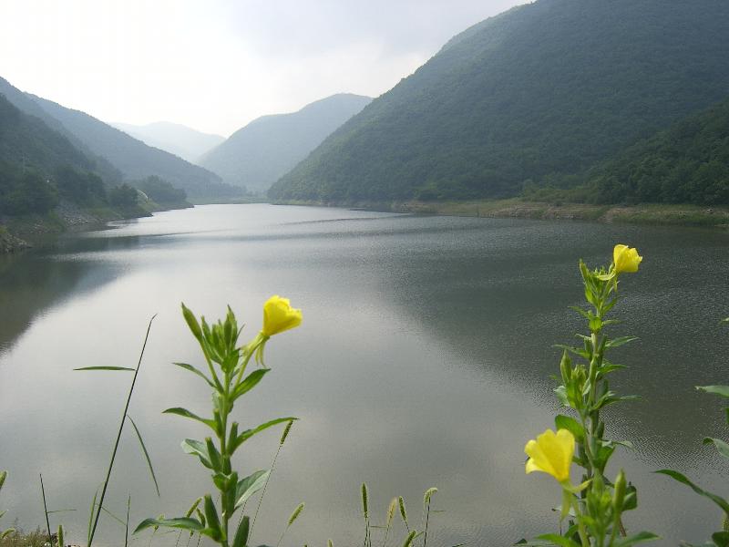 SA501390-30.JPG