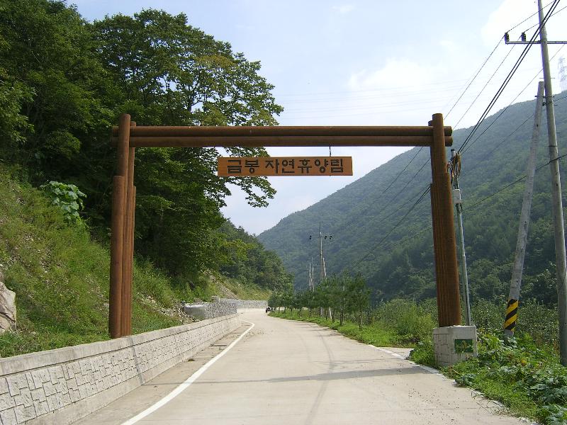SA501434-30.JPG