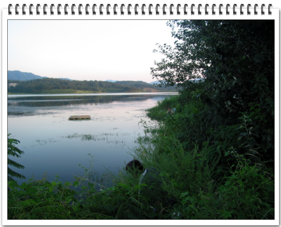 105-1548_IMG.jpg