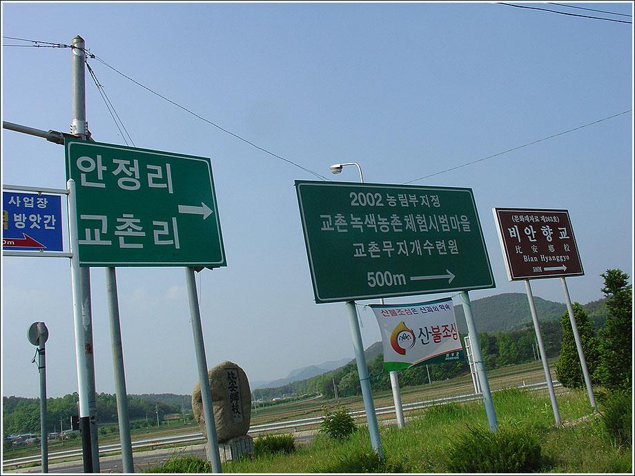 5051503.jpg