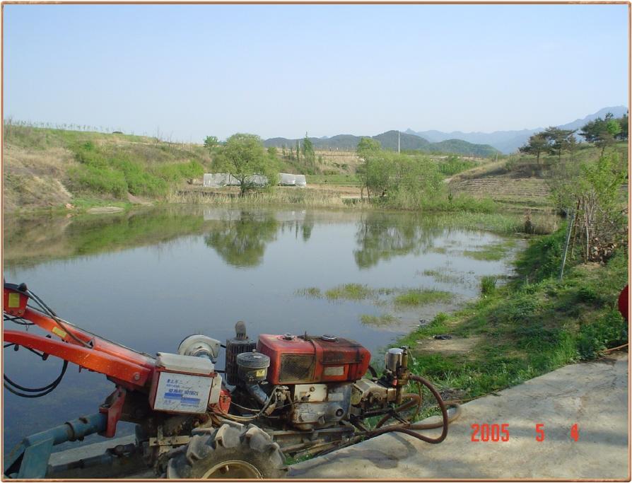 ALSeeEdit_DSC01458.jpg