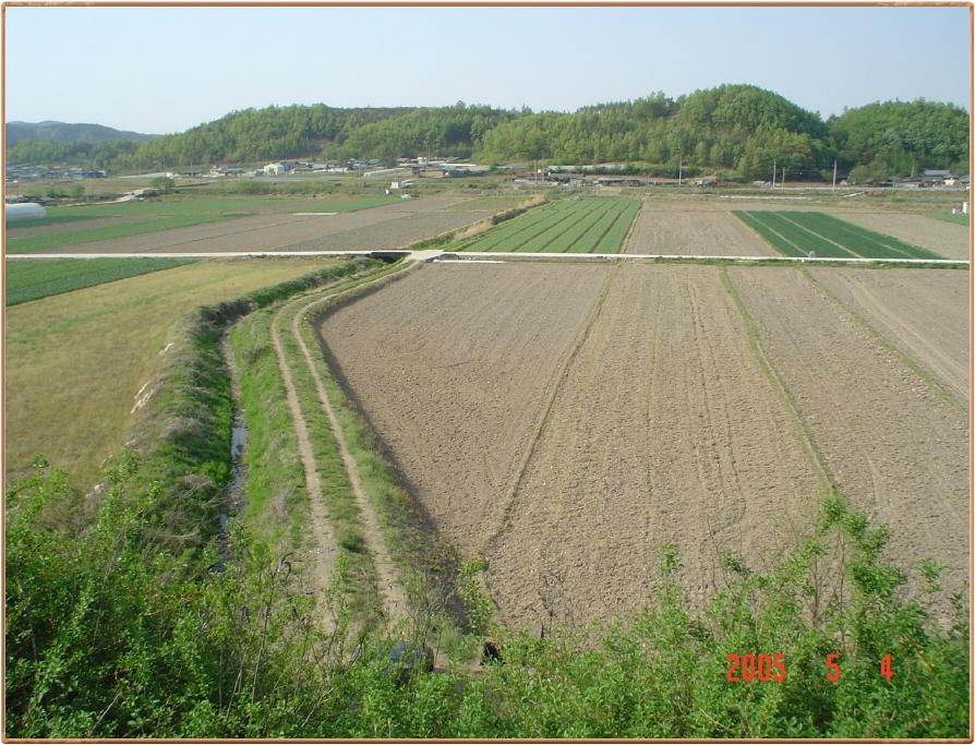 ALSeeEdit_DSC01465.jpg