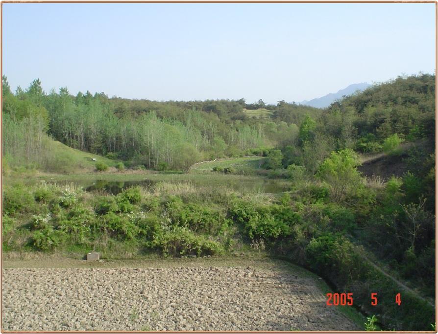 ALSeeEdit_DSC01466.jpg