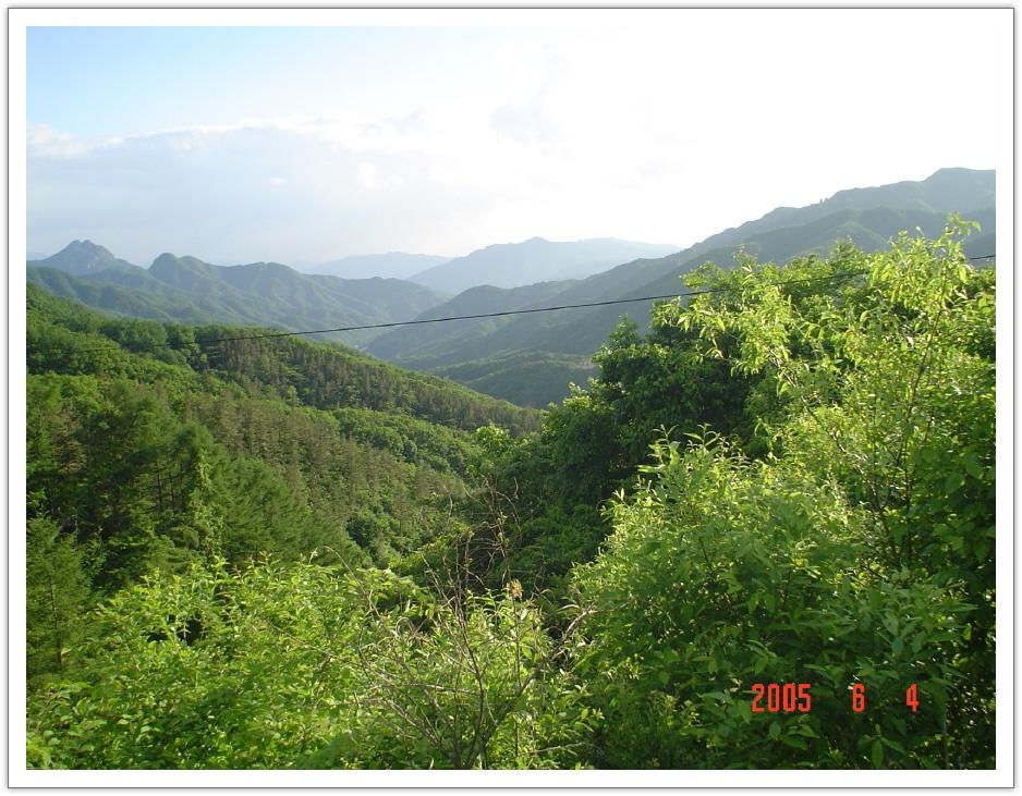 ALSeeEdit_DSC01519.jpg