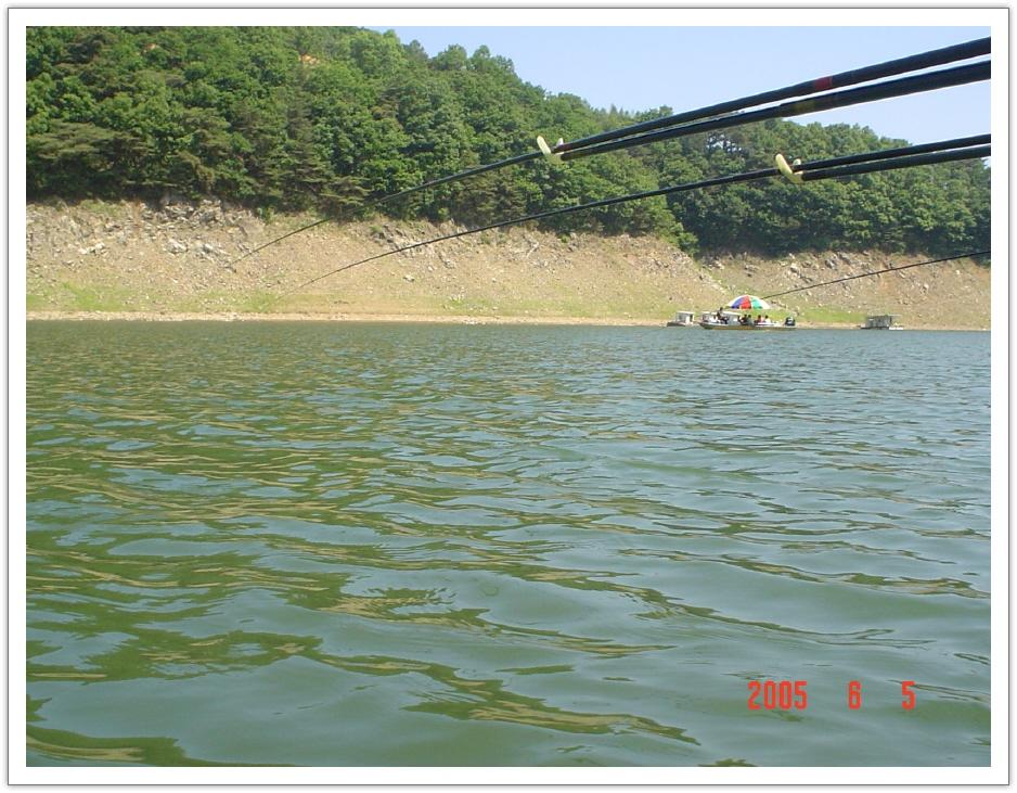 ALSeeEdit_DSC01566.jpg