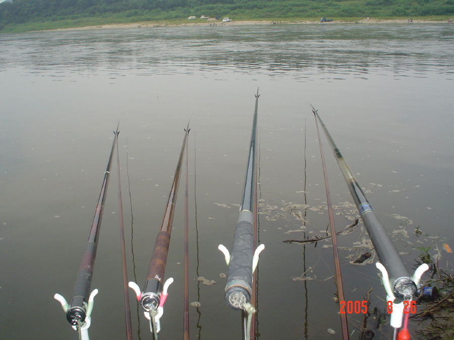 ALSeeEdit_DSC01775.JPG