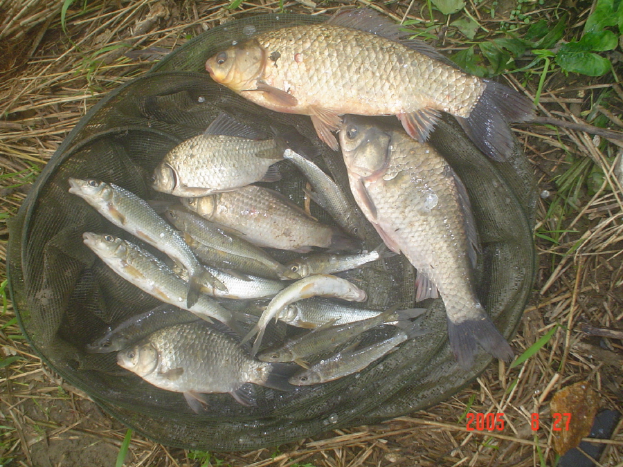 ALSeeEdit_DSC01776.JPG