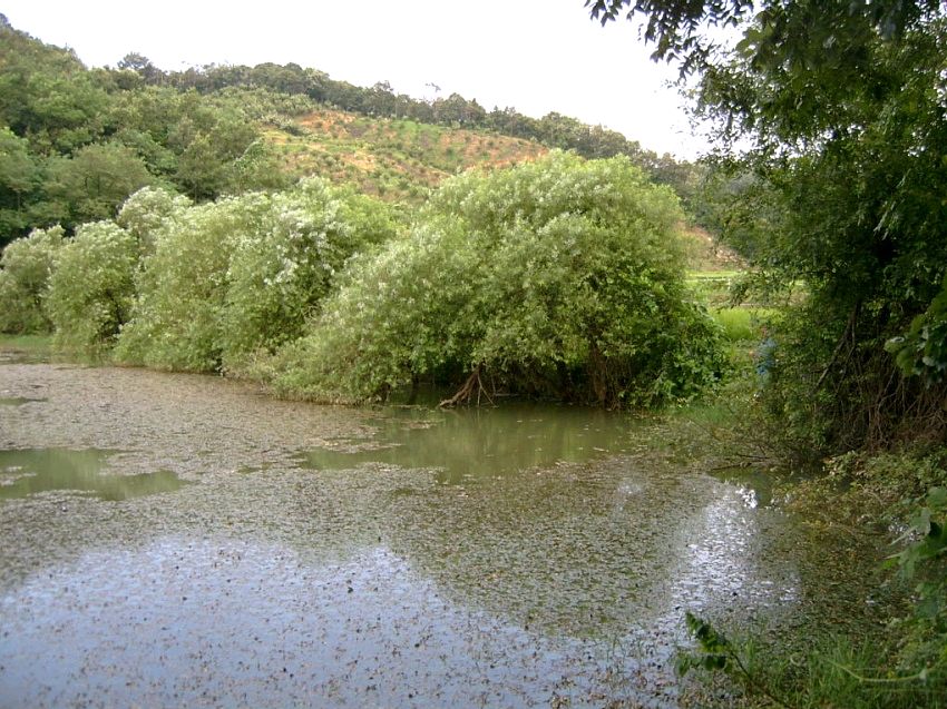 08.jpg