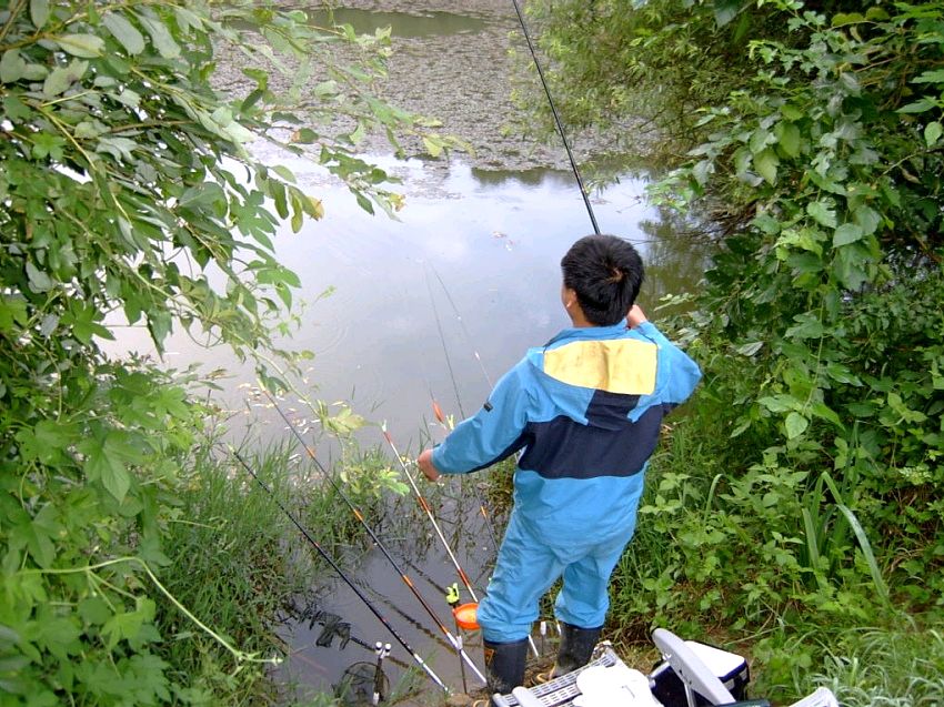 09.jpg