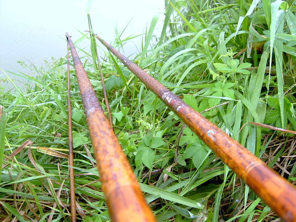 105.jpg