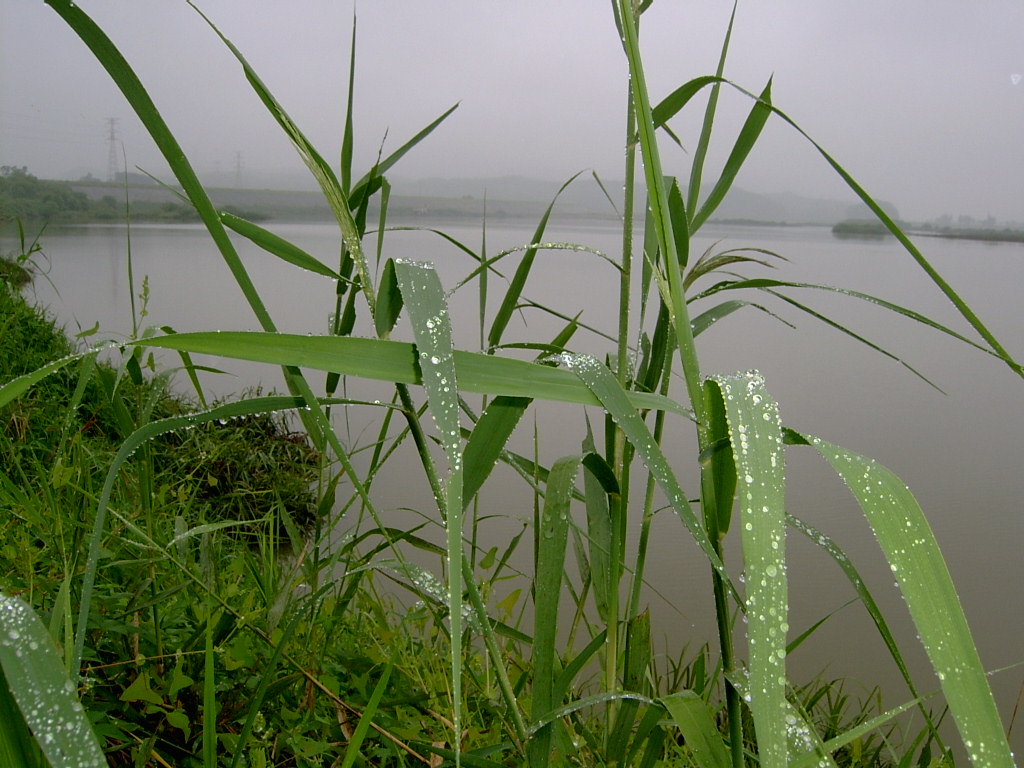 106.jpg