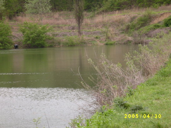S4201119.JPG