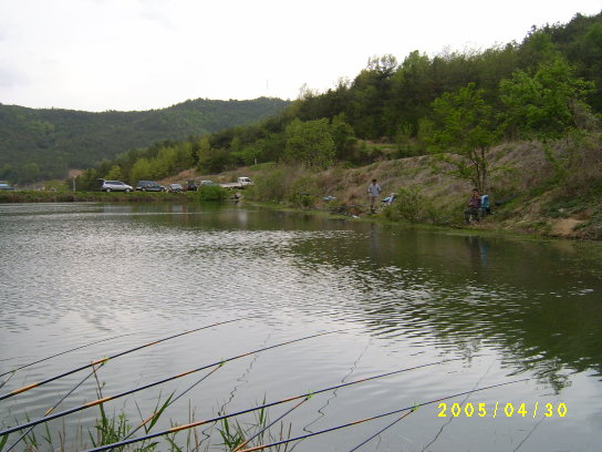 S4201120.JPG