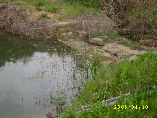 S4201125.JPG