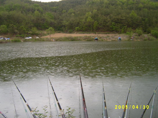 S4201126.JPG