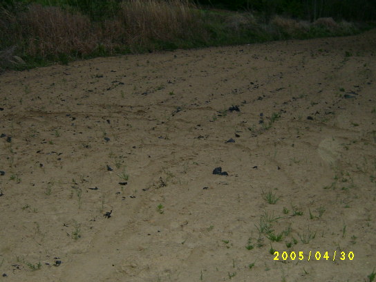 S4201129.JPG