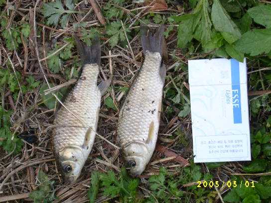 S4201132.JPG