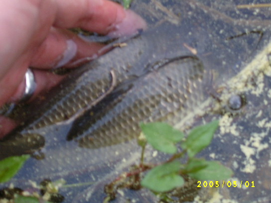 S4201133.JPG