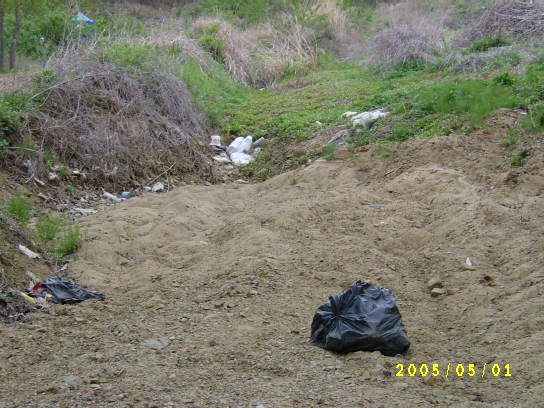 S4201137.JPG