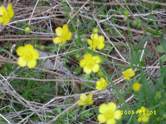 S4201139.JPG