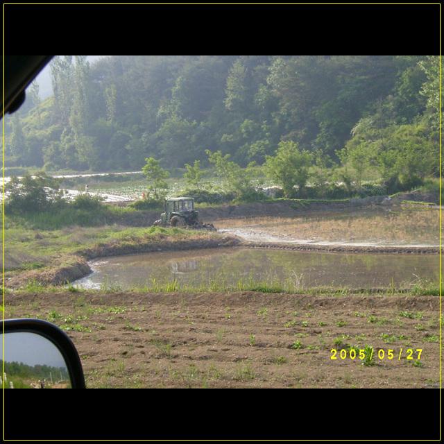 S4201541.jpg