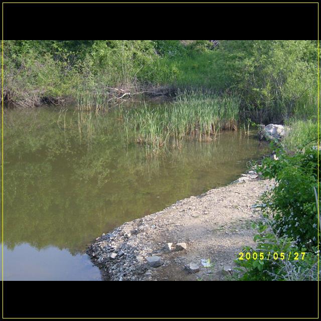 S4201546.jpg
