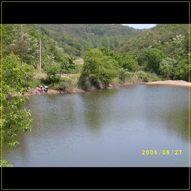 S4201550.jpg