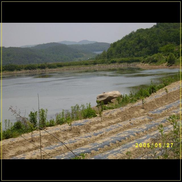 S4201556.jpg