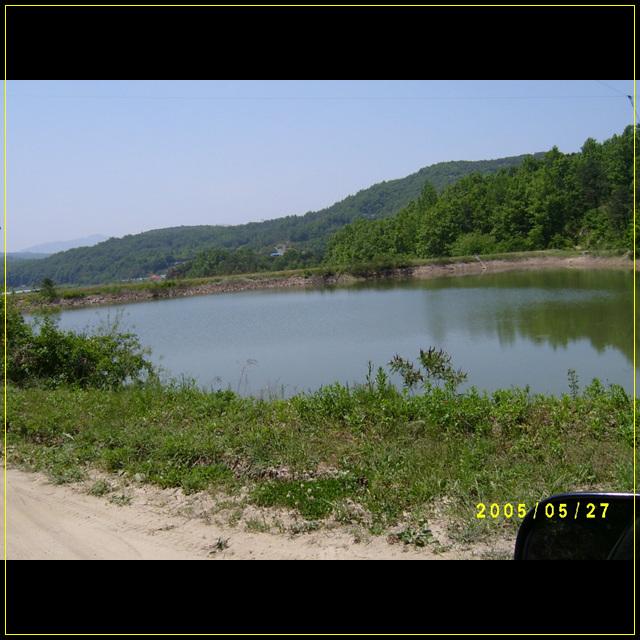 S4201557.jpg