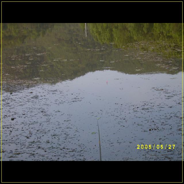 S4201570.jpg