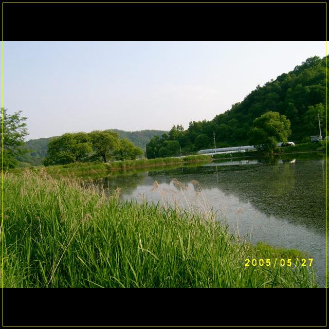 S4201571.jpg