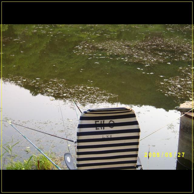 S4201572.jpg