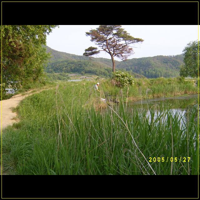 S4201573.jpg