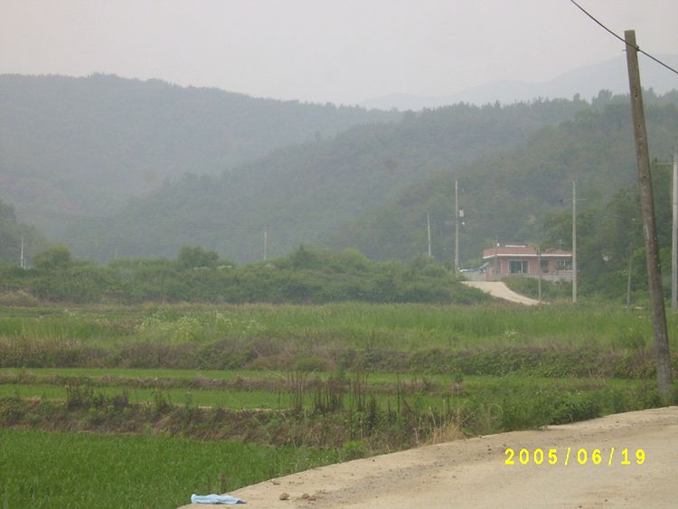 S4201928.jpg