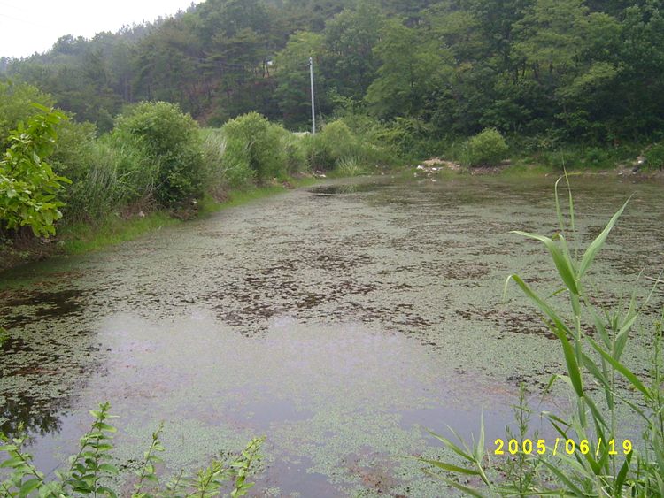 S4201929.jpg
