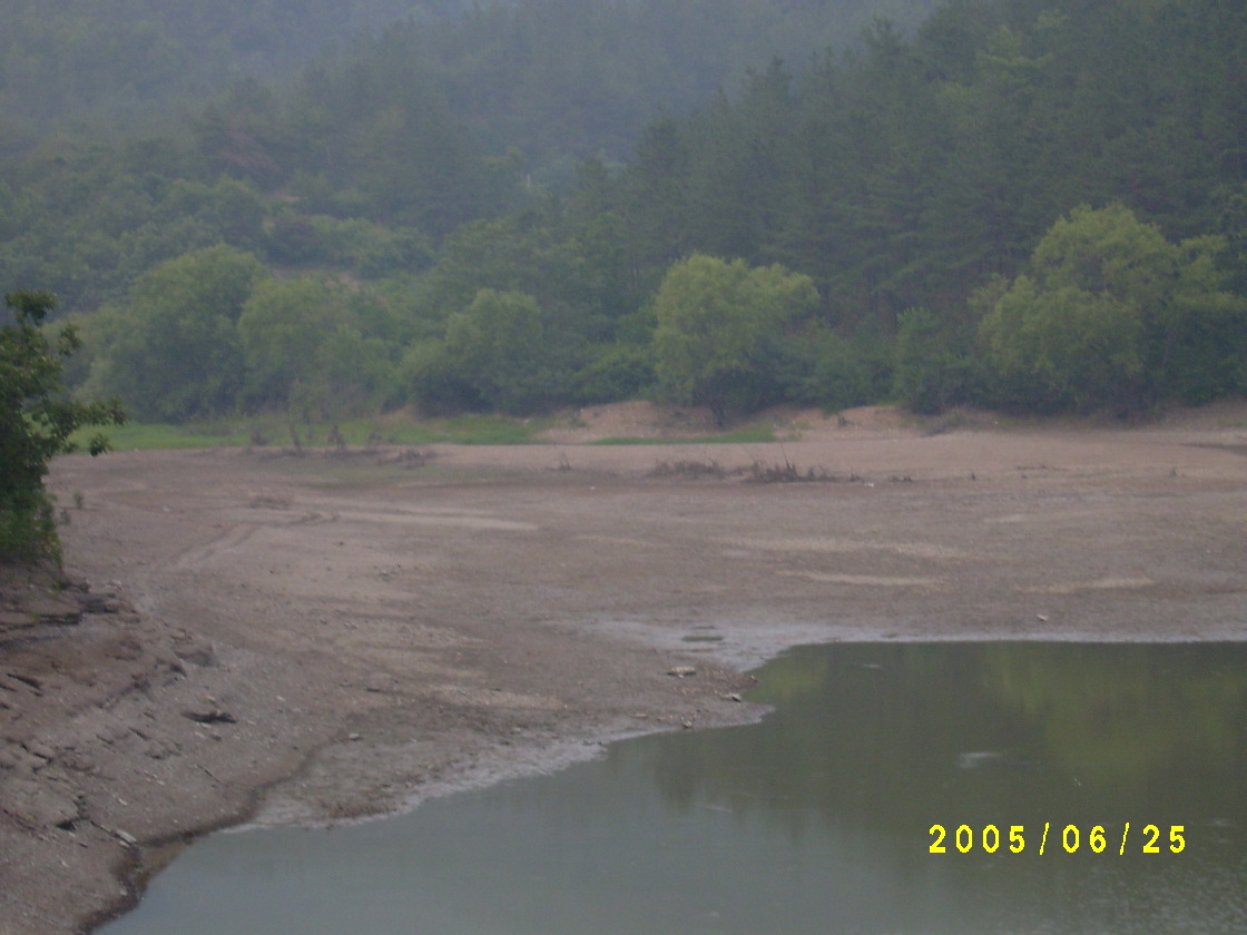S4200092.JPG